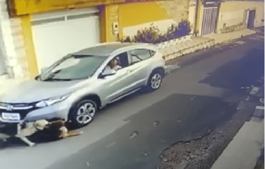 Enfermeira que atropelou e matou cão em São Luís é multada em 20 mil
