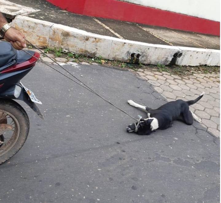 Crueldade: Motociclista amarra cachorro em moto e arrasta pelas ruas de Imperatriz (MA)