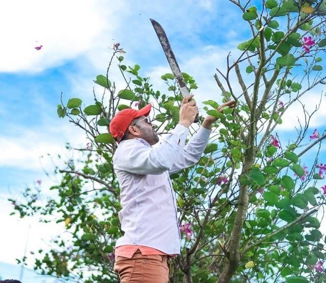 Prefeito de Campestre dar exemplo: “Não basta apenas plantar é preciso cuidar”