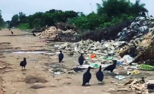 Ministro do Meio Ambiente visita o Maranhão e critica lixão de Paço do Lumiar