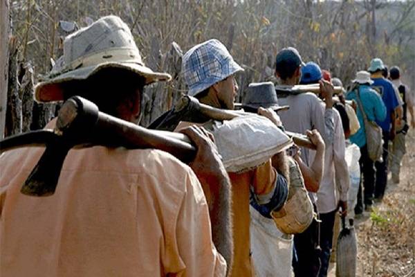 Mais de 30 pessoas são resgatas em situação análoga à escravidão em Balsas (MA)