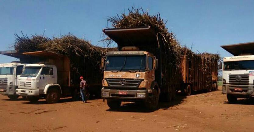 Caminhōes da Maity Bioenergia colocam em risco a vida de populares em Campestre no MA