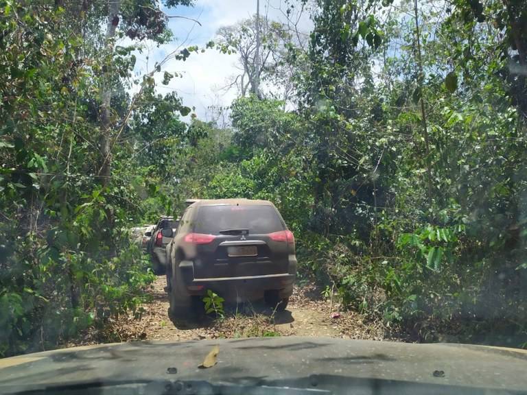 Polícia Federal prende mandadeiros e fecha serrarias em terra indígena entre Amarante e Arame no MA