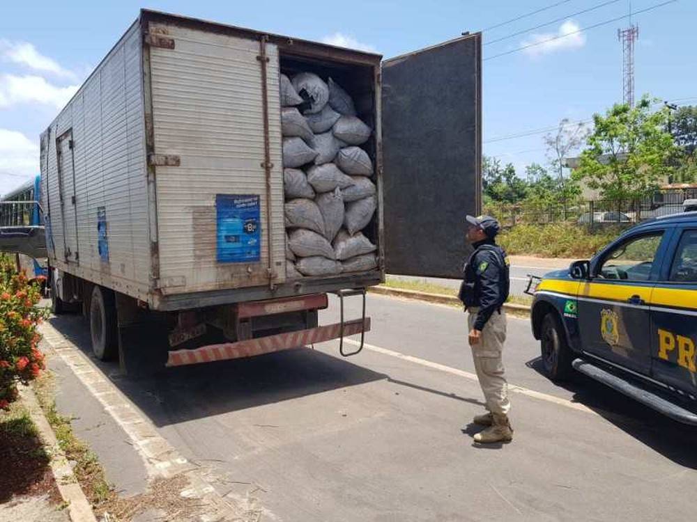 PRF apreende carvão produzido em desmatamento ilegal no Maranhão