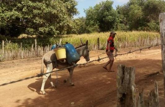 DESCASO – Moradores de Lago da Pedra carregam água em lombo de jumento