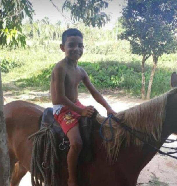 Criança morre ao ser atingida por árvore derrubada pelo próprio pai