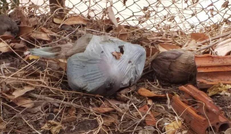 Feto é encontrado dentro de sacola plástica em São Luís