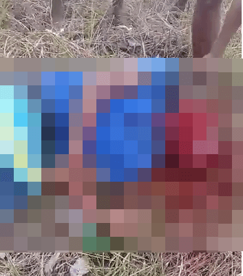 Homem é morto a facadas e degolado em São Luís pelo tribunal do crime