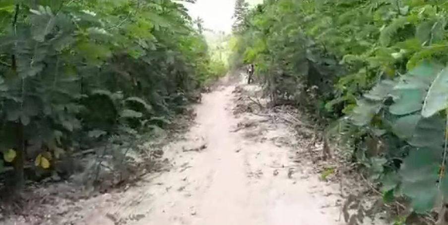 Crianças da zona rural de Nova Iorque perdem aulas por falta de estradas vicinais