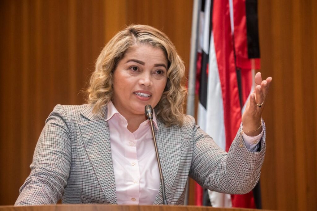 Deputada Mical Damasceno solicita criação do programa mulheres que ajudam mulheres