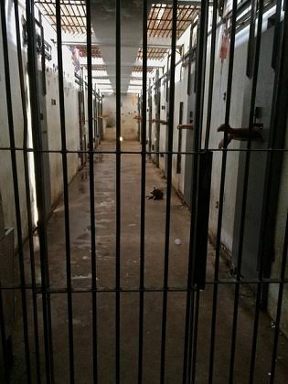 6 detentos fugiram de penitenciaria no município de Paço do Lumiar; veja as fotos dos fugitivos