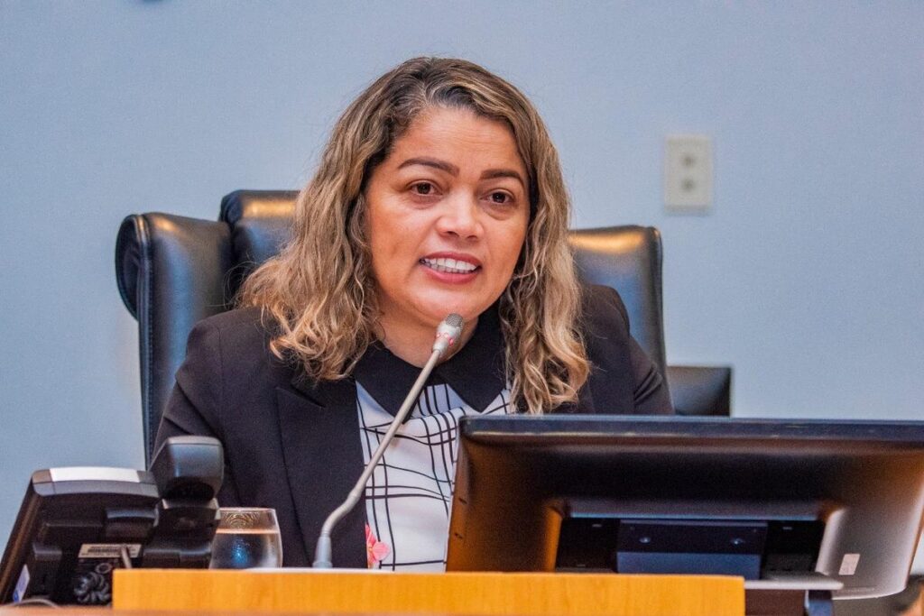 Projeto de Lei da Deputada Mical visa dar amparo e capacitação a viúvas