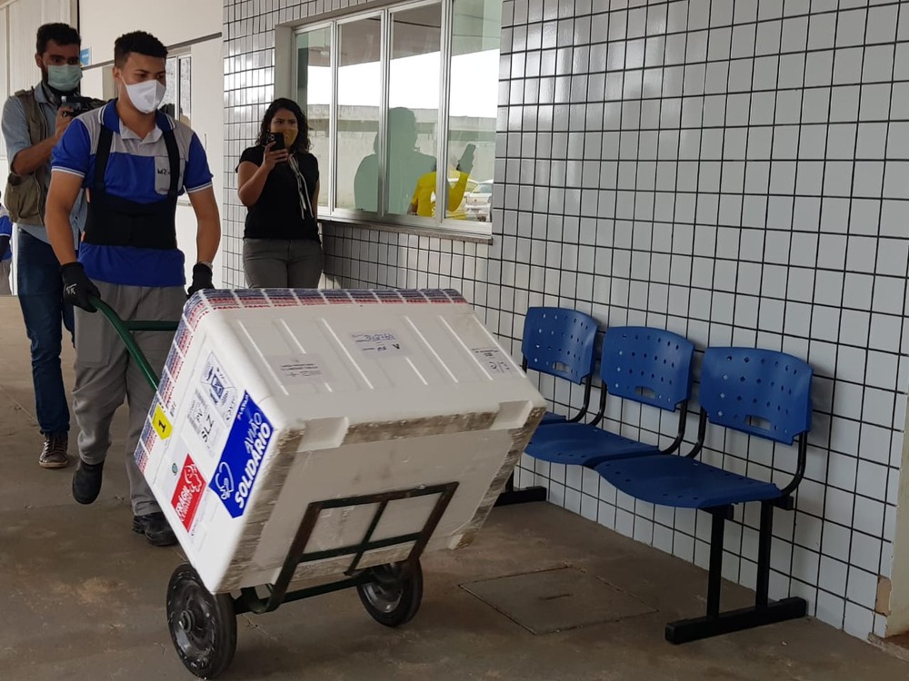 Maranhão recebe mais de 29 mil doses da vacina CoronaVac contra Covid-19
