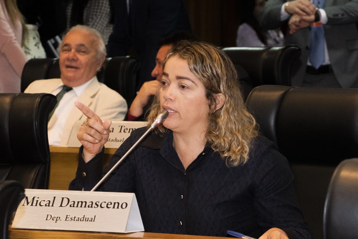Projeto de Lei da Deputada Mical Damasceno veda a “Linguagem Neutra” e estabelece medidas protetivas ao uso da norma culta nas escolas do Maranhão