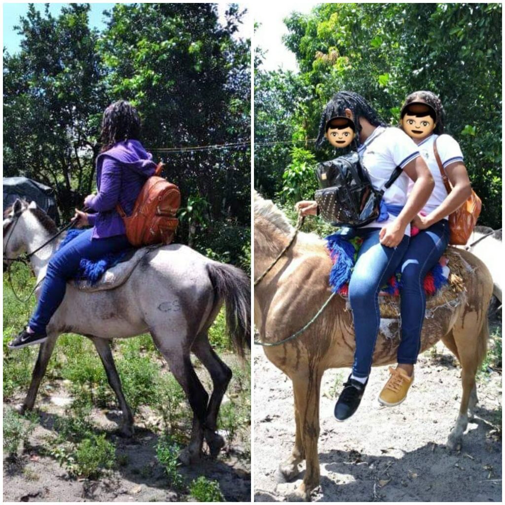 Por falta de transporte escolar, alunos vão a cavalo para escola em Humberto de Campos no Maranhão