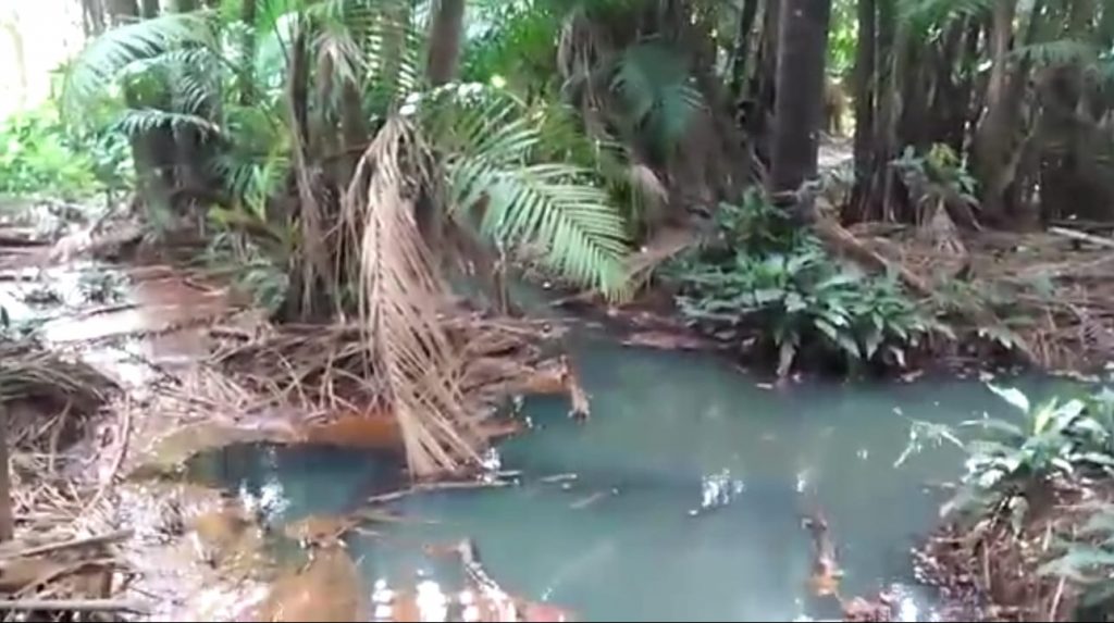 Crime ambiental é denunciado no Rio da Ribeira na zona rural de São Luís