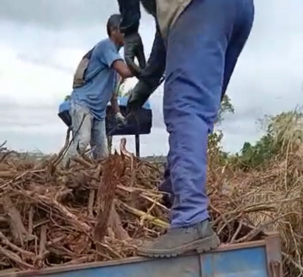 Prefeitura de São João do Paraíso usa garis para limpar fazenda de aliado do prefeito