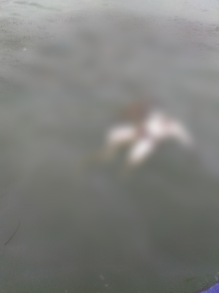 Pescadores encontram corpo em alto mar, próximo ao município de Cedral