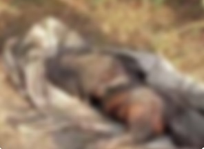 Idosa é encontrada morta em estado de decomposição em Vargem Grande no MA