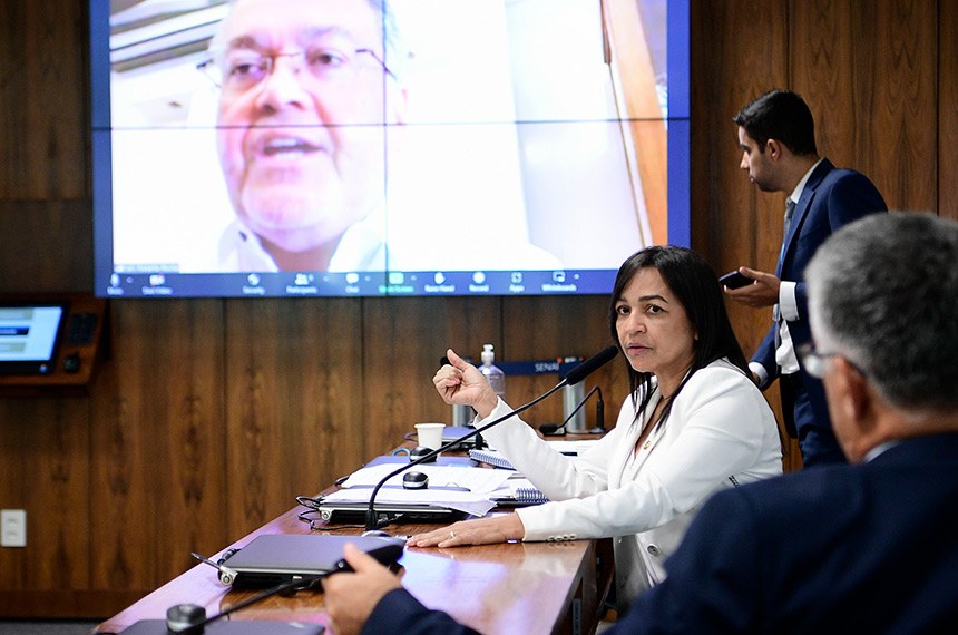 Eliziane Gama consegue adiar no Senado comissão para avaliar ferryboats no MA