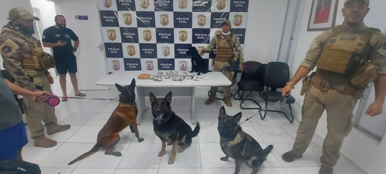 Cães farejadores ajudam a prender suspeito de tráfico de drogas em São Luís