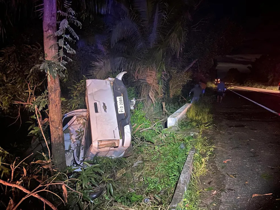 Acidente com caminhonete que bateu em animal mata duas pessoas e deixa uma gravemente ferida na BR-316