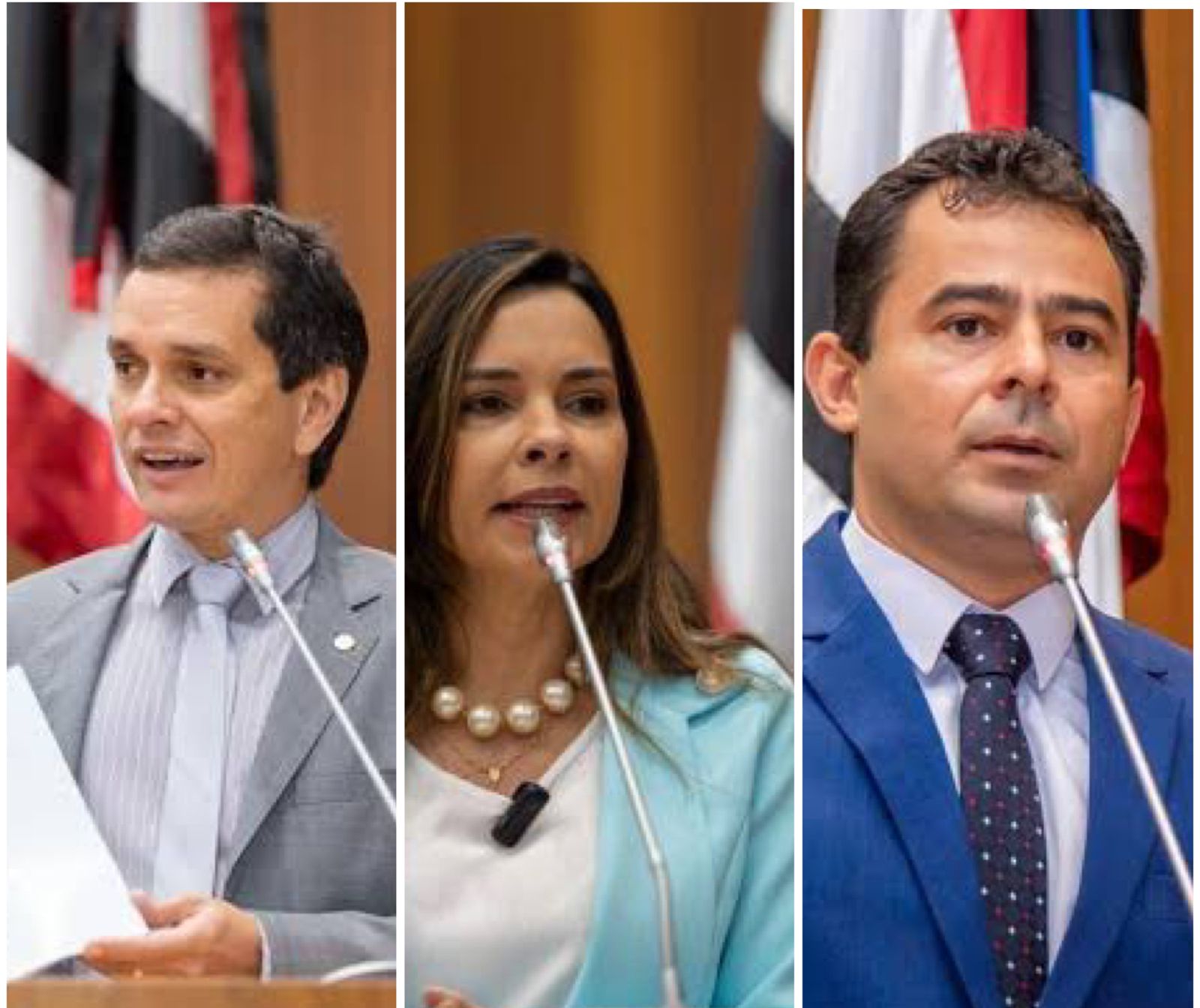 Ricardo Arruda fala sobre possível frente ampla de deputados para lutar por melhorias na MA-006