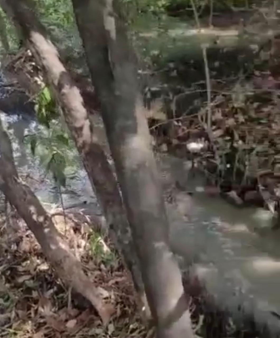 VÍDEO: Morador acusa CAEMA de despejar esgoto na Lagoa da Jansen em São Luís