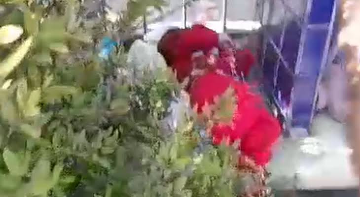 Recém-nascida é abandonada ainda com prendedor umbilical na porta de condomínio em São Luís