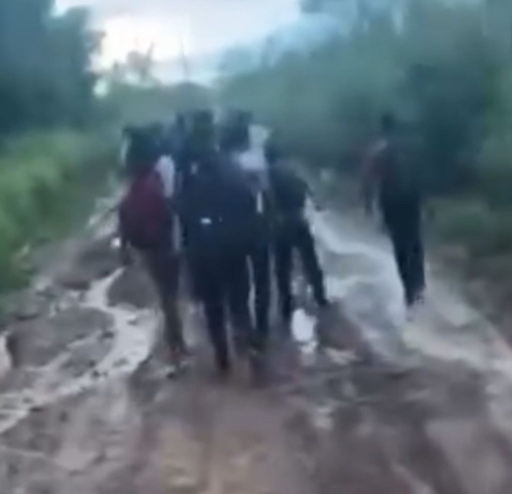 Alunos vão a pé na chuva e lama, por falta de transporte escolar em Pedro do Rosário no MA