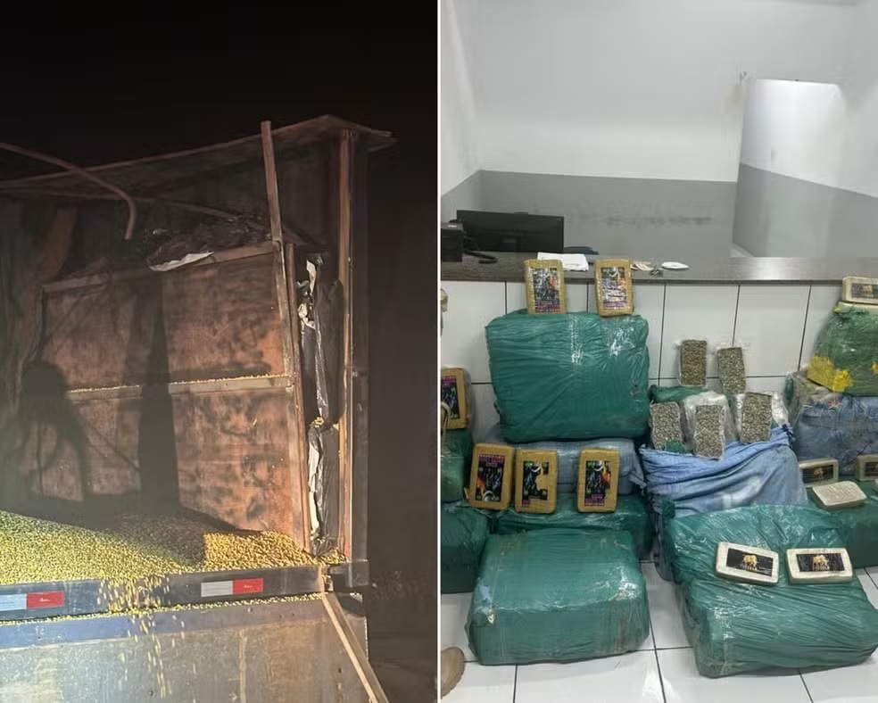 PRF apreende mais de 360 kg de drogas escondidas em carga de milho em São Domingos do Azeitão