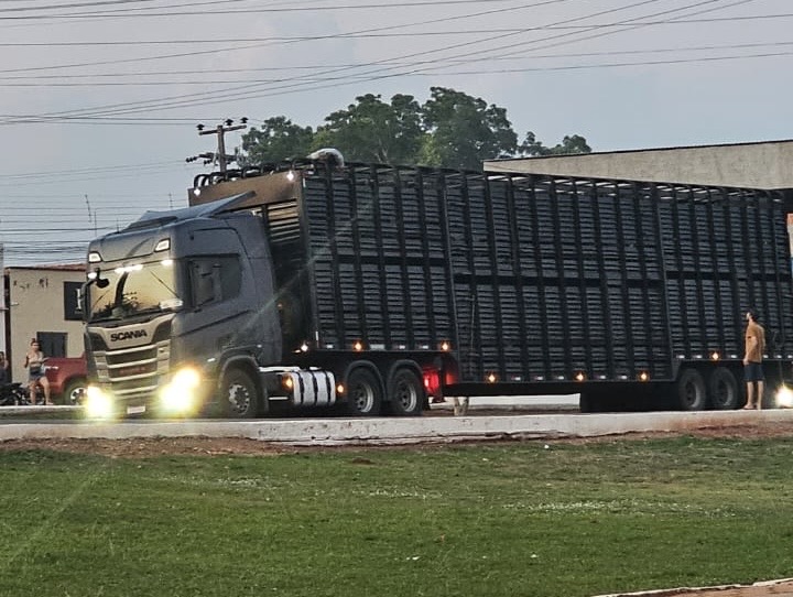 Motorista de caminhão boiadeiro morre eletrocutado em Lajeado Novo no Maranhão