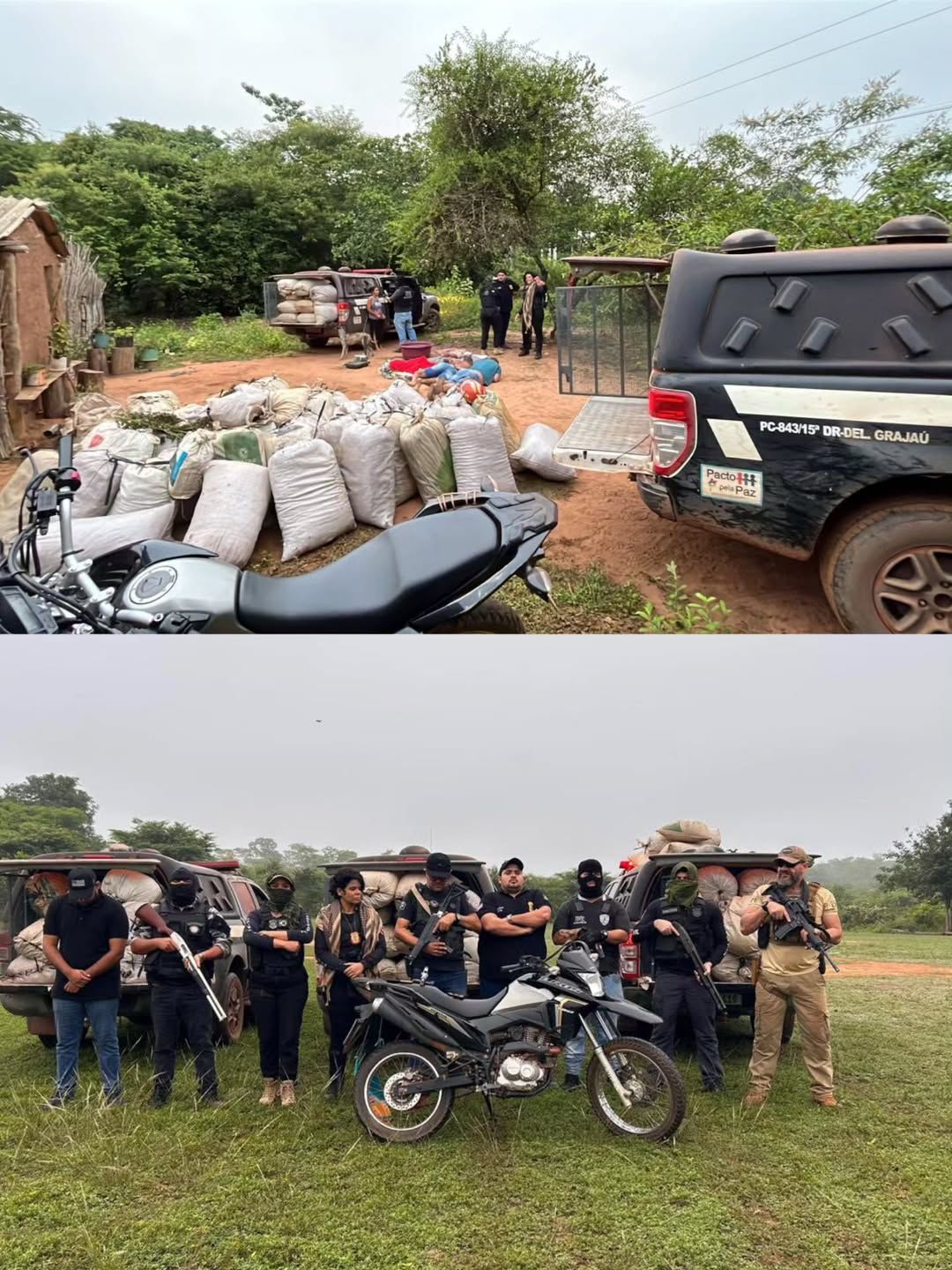 VÍDEO: Polícia Civil realiza operação em Grajaú no interior do Maranhão e apreende cerca de duas toneladas de maconha